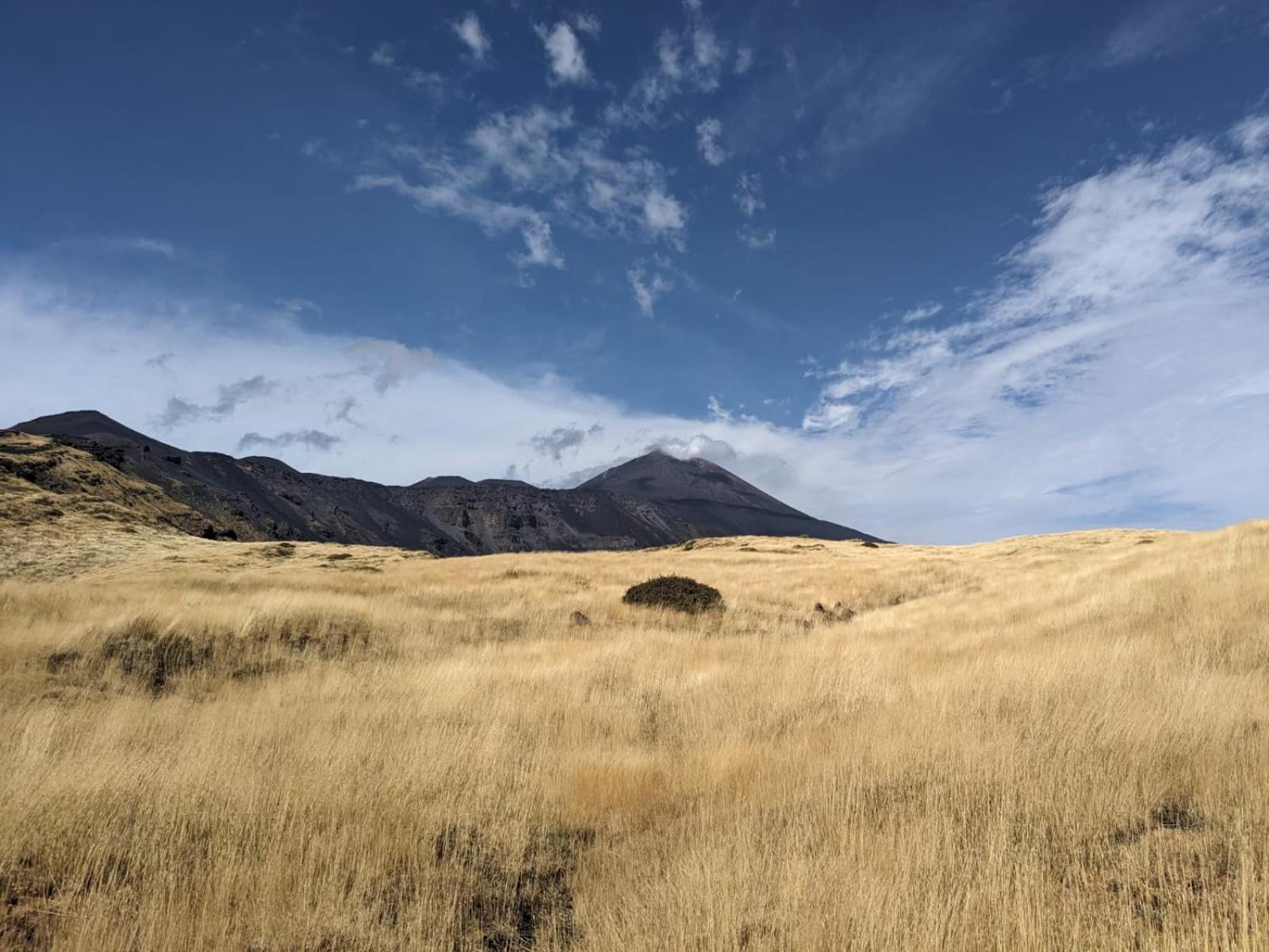 Attico Sul Porto Di Catania E Vista Vulcano Exteriör bild